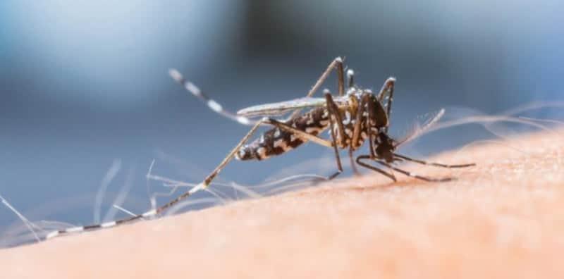 Jangan Sangka Ia Telah Pupus, Demam Denggi Masih Ada? 6 Tip Untuk Atasi!