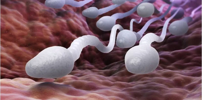 Rahim Sudah Dibuang, Ke Mana Sperma Akan Pergi? 4 Soalan Lazim Berkenaan Histerektomi