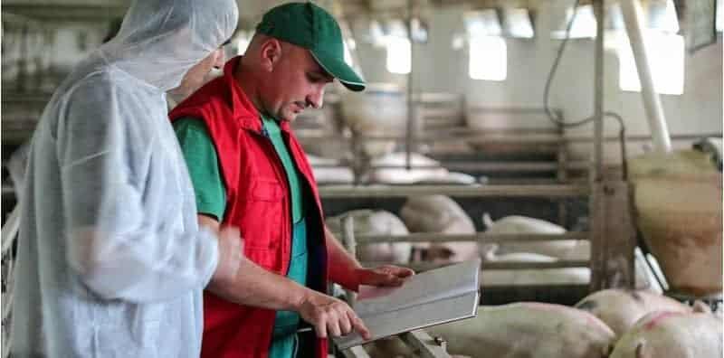 Malaysia Pun Pernah Dilanda Virus Japanese Encephalitis, Kenali Penyakit JE!