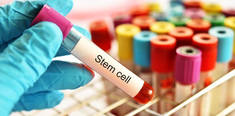 Ada Ahli Keluarga Yang Mempunyai Penyakit Darah? Bantunya Dengan Simpan Darah Tali Pusat