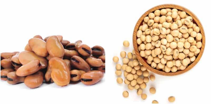 Penghidap G6PD Perlu Patuhi 9 Pantang Larang, Terutama Elak Kekacang Jenis Ini!