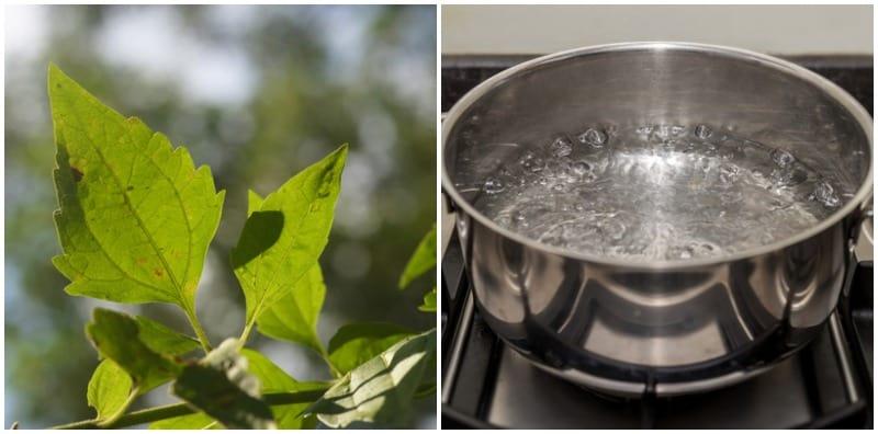 Minum Air Rendaman Kapal Terbang Boleh Rawat Kencing Manis? Jangan Buat, BAHAYA!