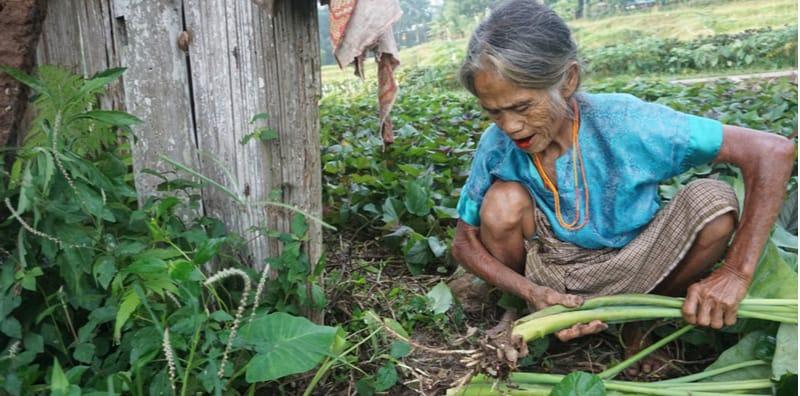 Perempuan Kampung Lebih Sihat Daripada Wanita Bandar? Tak Percaya? Ada Kajian Yang Buktikannya!