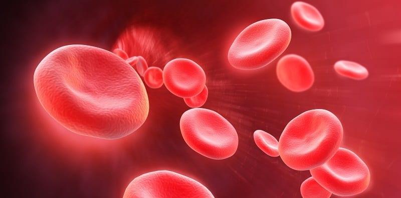 Ambil Asid Folik Untuk Tambah Darah, Ini Tip Buat Pesakit Penyakit Talasemia!