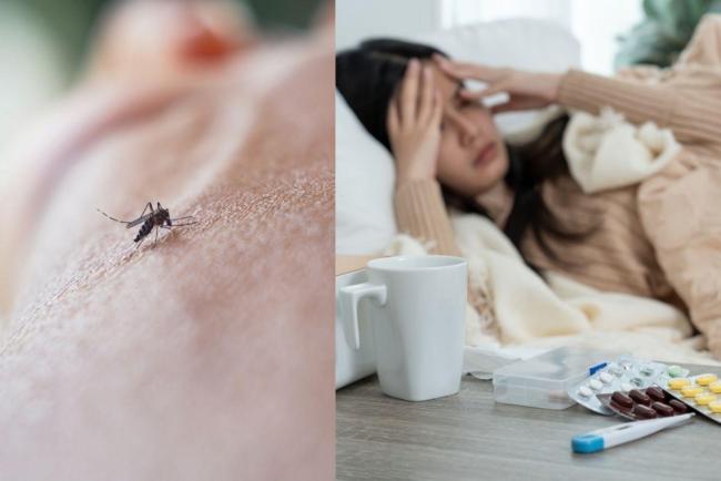 Haid Wanita Boleh Terganggu Jika Mengalami Demam Denggi? Adakah Ini Tanda Bahaya?