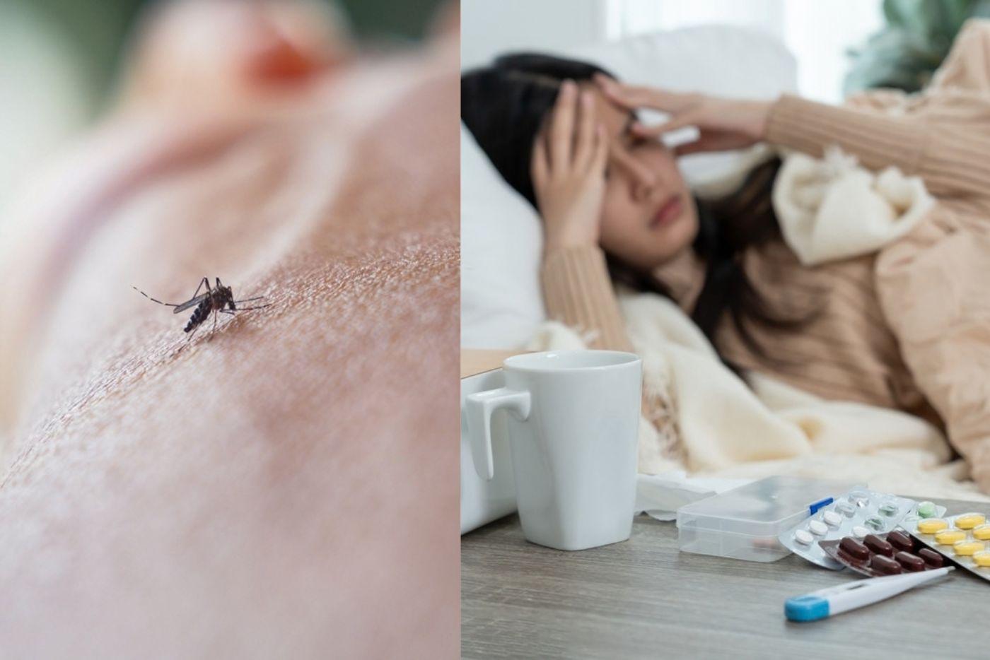 Haid Wanita Boleh Terganggu Jika Mengalami Demam Denggi? Adakah Ini Tanda Bahaya?