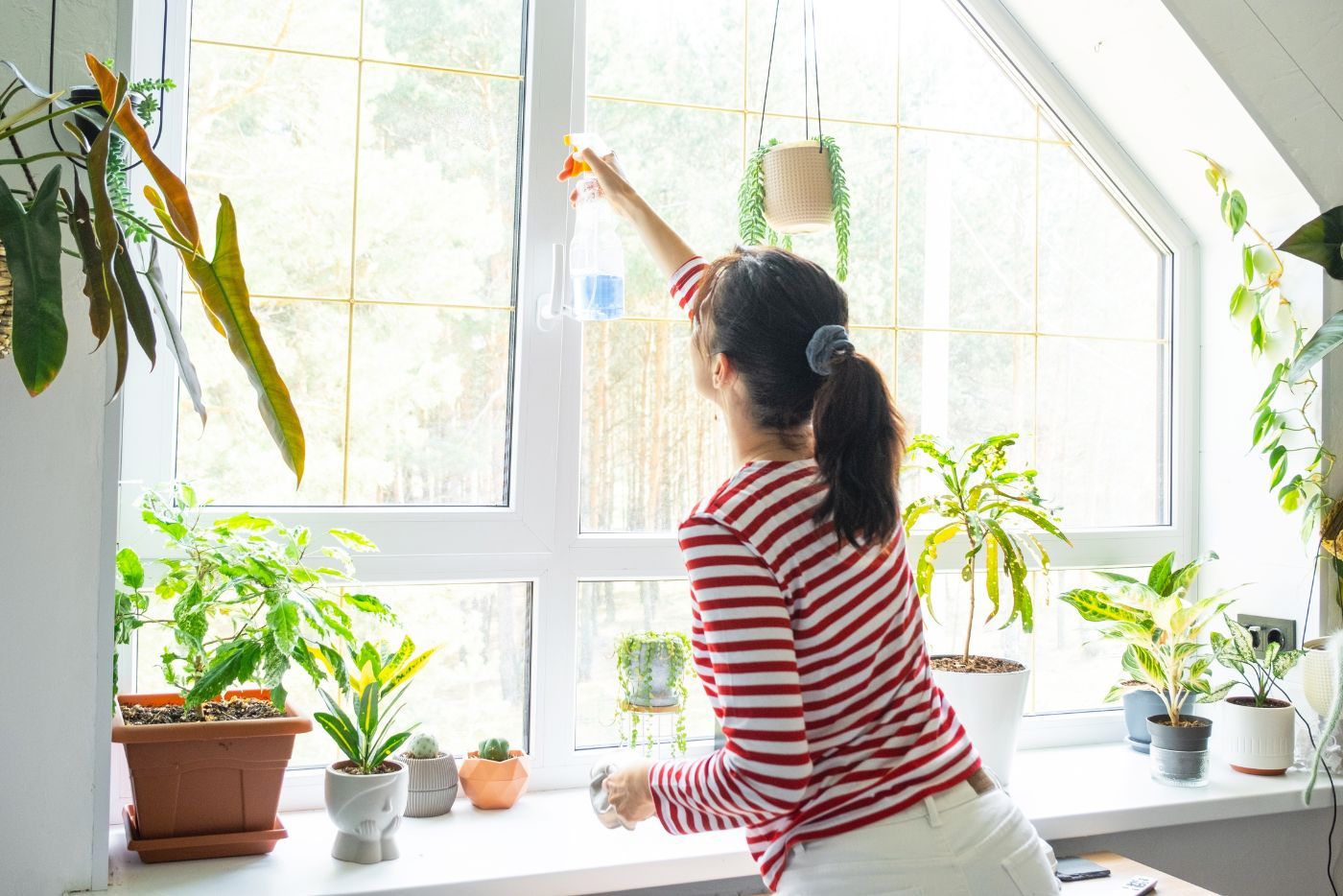 Stres Kena WFH? Apa Kata Letakkan Indoor Plant, Ada Kebaikan Untuk Kesihatan Tau!