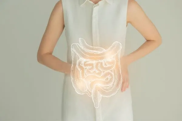 makanan probiotik