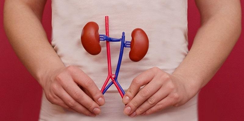 Cyst Pada Buah Pinggang, Bahaya Atau Tidak? Ketahui Simptom Penyakit Ini Sebelum Terlambat!