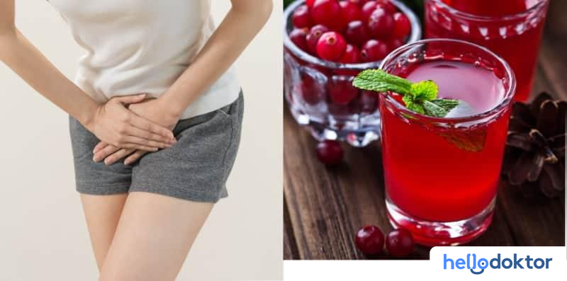 Jus Cranberry Bisa Sembuhkan ISK? Ini Faktanya & Penjelasan Medis 3 972bbf2e kencing kotor