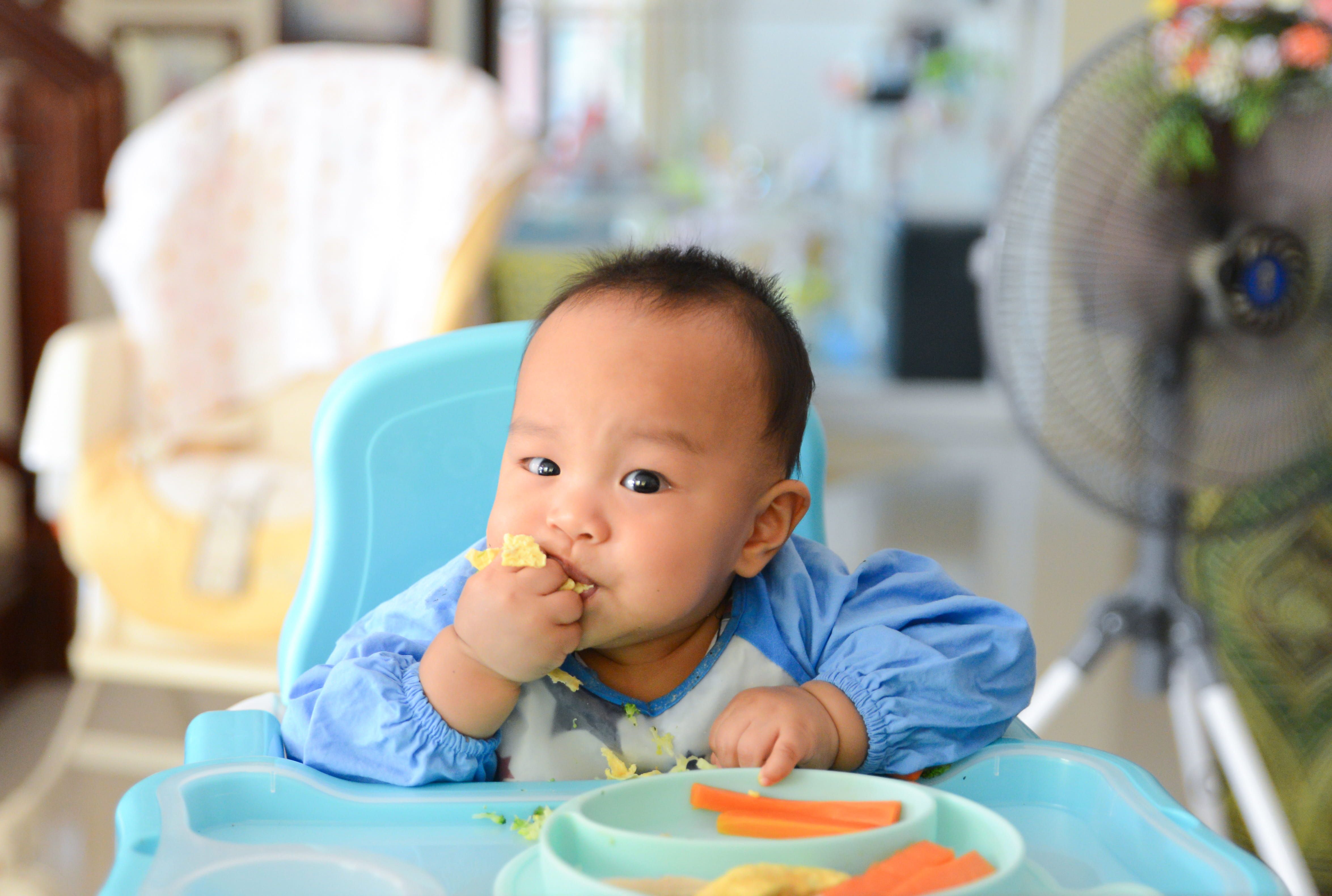 makanan bayi 6 bulan