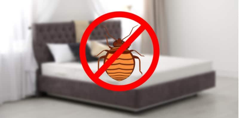 Habis Satu Badan Gatal Sebab Tilam Penuh Pepijat! Apa Anda Perlu Buat?