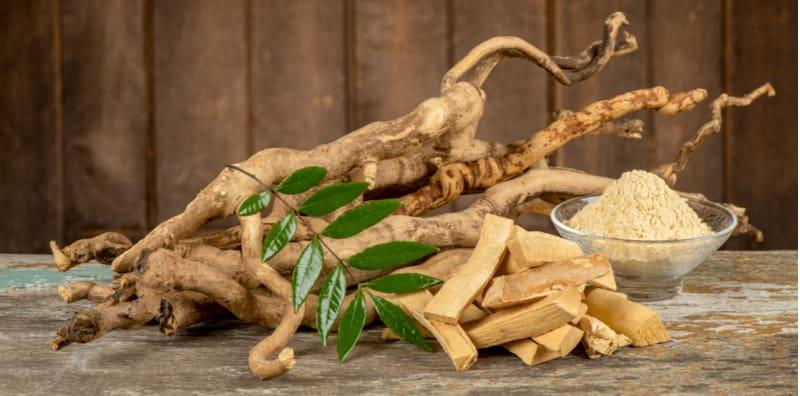 Tongkat Ali & Wanita, Benarkah Ia Mampu Tingkatkan Peluang Untuk Hamil?