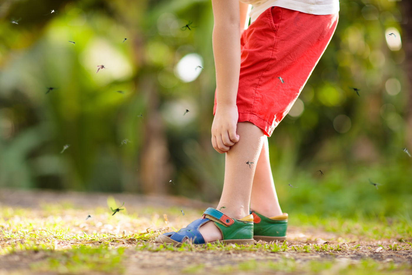 Ikut Pantang Larang Ini Kalau Anda Dijangkiti Dengan Demam Denggi