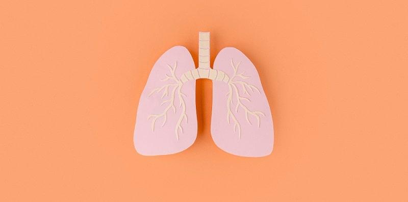 Ini Tip Cepat Sembuh Lepas Rawatan Kanser Peparu! WAJIB Ambil Makanan Penuh Protein