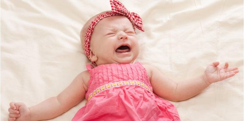 Si Manja Asyik Meragam? Jika Ada 5 Tanda Ini, Sah Sebab Perut Kembung!