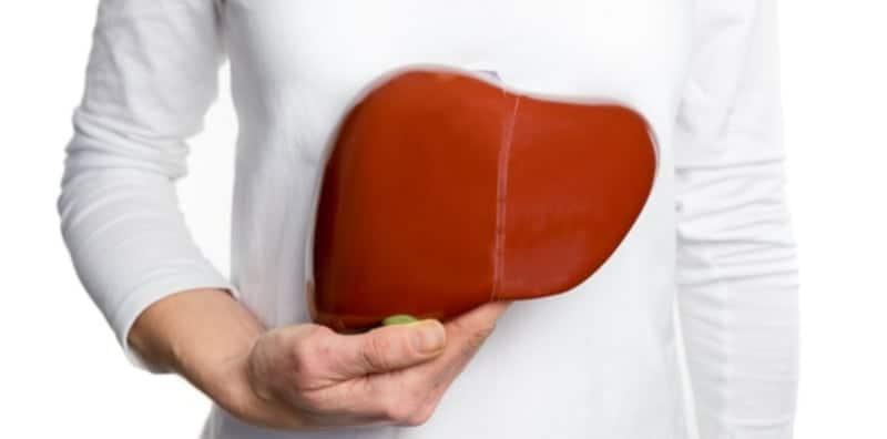 Hati, Organ Yang Penting Untuk Tubuh Badan! Apa Fungsi Dan Cara Jaga?