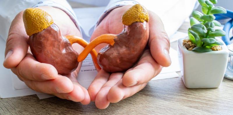 Makan Banyak Daging Merah Mungkin Akan Jejas Buah Pinggang! - Kajian