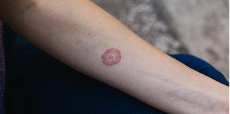 haiwan peliharaan di rumah