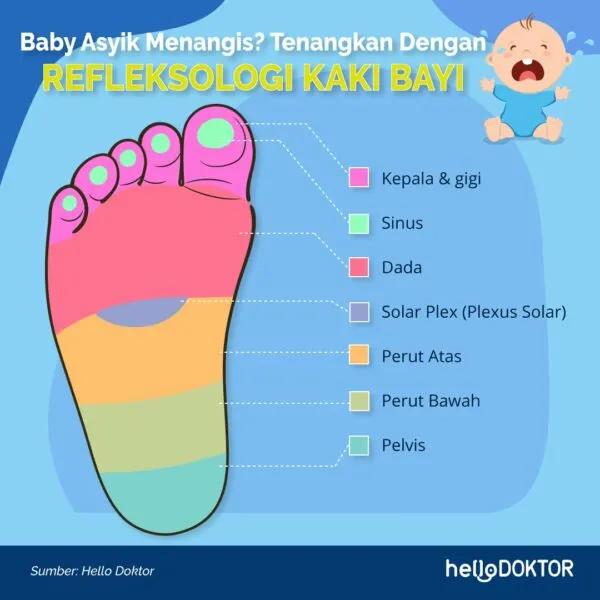 jenis tapak kaki