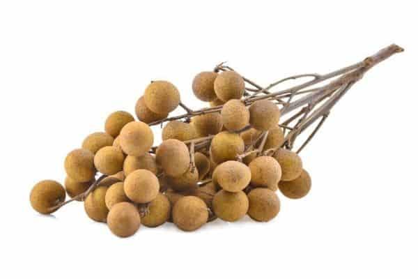 buah mata kucing