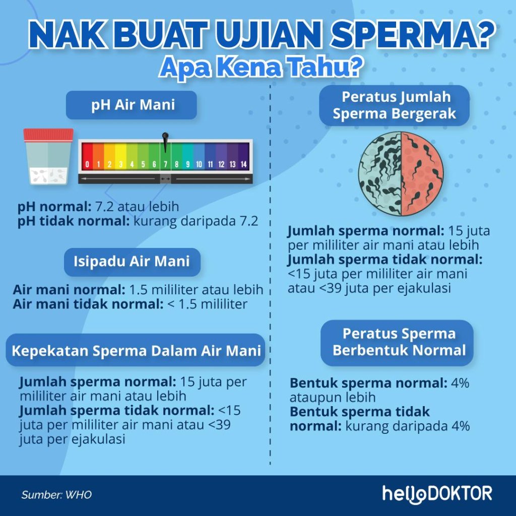 struktur sperma