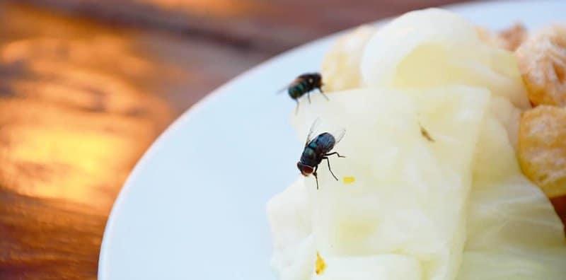 5 Punca Makanan Basi Dengan Lebih Cepat, No. 3 Itu Selalu Orang Kita Buat!