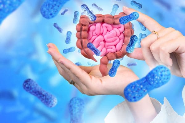 probiotik untuk gastrik