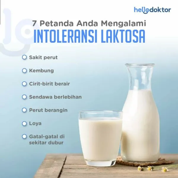 kandungan susu