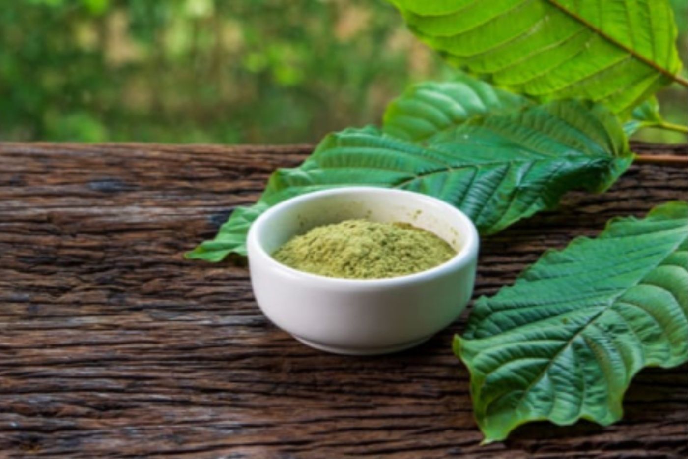 Air Ketum Jadi Minuman Tenaga? Semak Dulu Baik Buruknya!