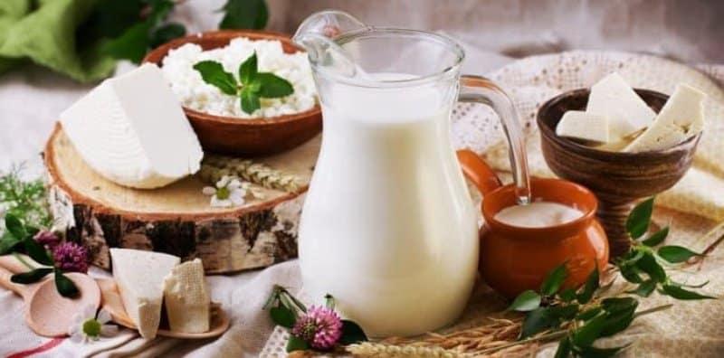 kandungan-susu