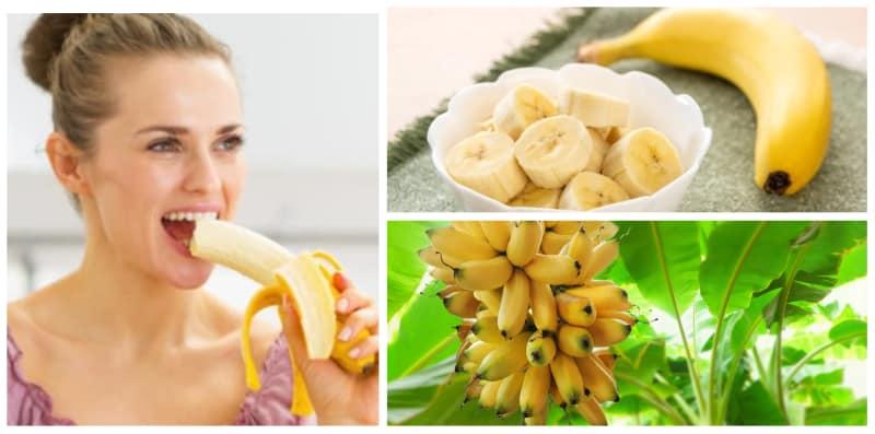 Sebenarnya, Buah Pisang Ada Banyak Jenis Dengan Berbeza Manfaat Kesihatan!