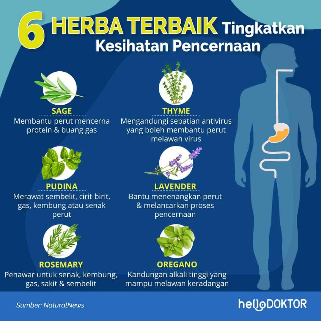 minyak batu