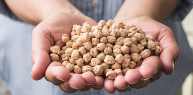 WOW! Ini 7 Khasiat Kacang Kuda Yang Tak Ramai Orang Tahu!