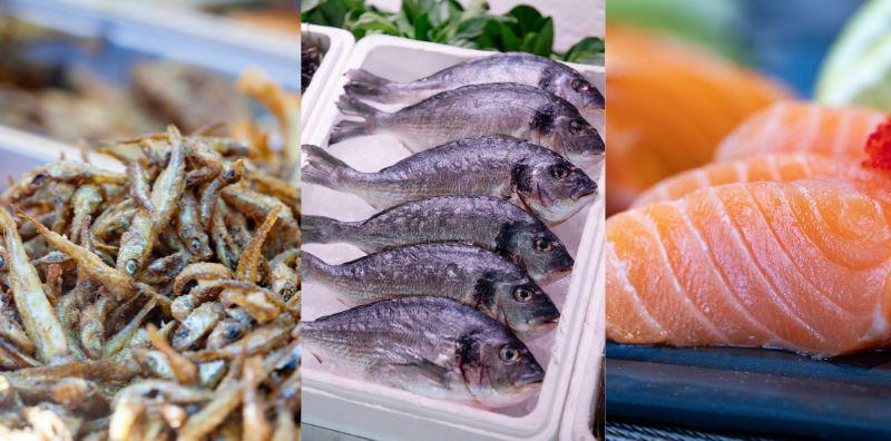 Sedap, Berkhasiat Dan Paling Penting, Murah! Ini 5 Jenis Ikan Laut Yang Perlu Anda Cuba!