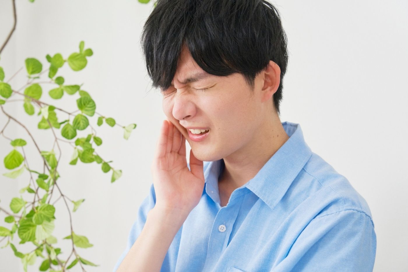 kenapa-gigi-geraham-sakit-padahal-tidak-berlubang