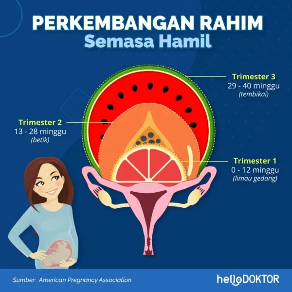 dinding rahim nipis