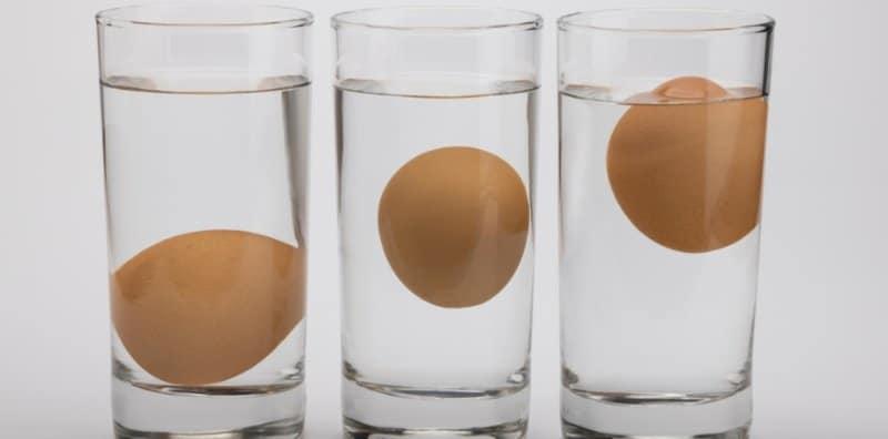 “Telur Tenggelam Dalam Air, Petanda Masih Elok”, Ini 4 Lagi Cara Nak Tahu Telur Segar @ Sudah Rosak!