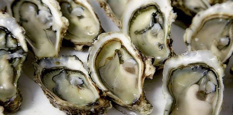 Bahaya Makan Tiram Mentah! Sebelum 'Ngap', Ambil Tahu Cara Makan Oyster Yang Selamat!