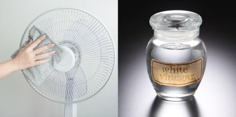 Sudah Tak Sejuk Lagi, Penuh Habuk! Ini Cara Mudah Bersihkan Kipas Angin DIY