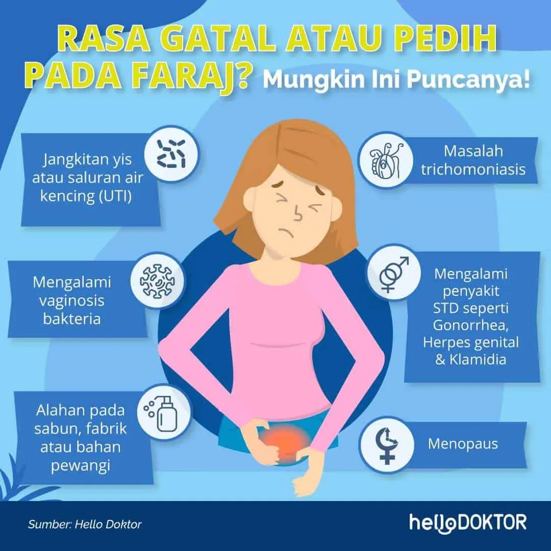 kelenjar bartholin