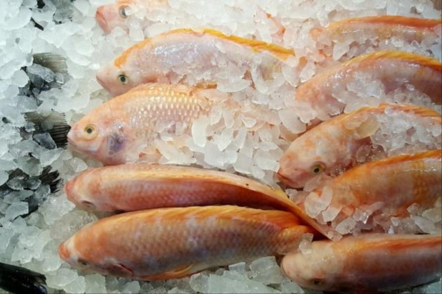 13 Jenis Ikan Ini Sesuai Untuk Wanita Berpantang, Ekstra 3 Resipi Sihat Khas Buat Ibu!