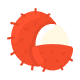 Minggu 12