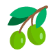 Minggu 9