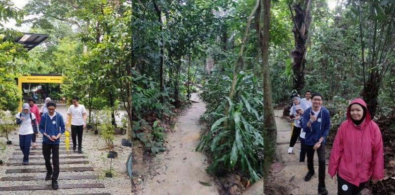 Hello Doktor Sertai Global Diabetes Walk Sempena Hari Diabetes Sedunia