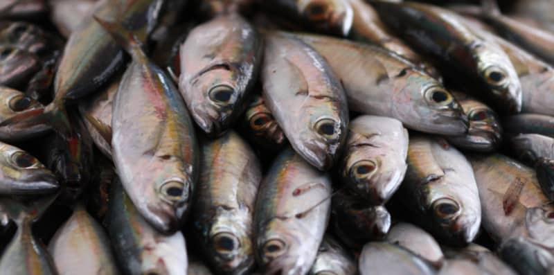 7 Cara Nak Tahu Ikan Masih Segar Atau Tidak, Boleh Cuba Buat Bila Ke Pasar Nanti!