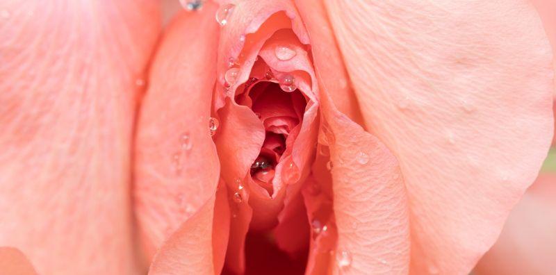 Auch, Bibir Faraj Bengkak Selepas Bersenggama? Ladies, Ini Cara Untuk Atasinya!