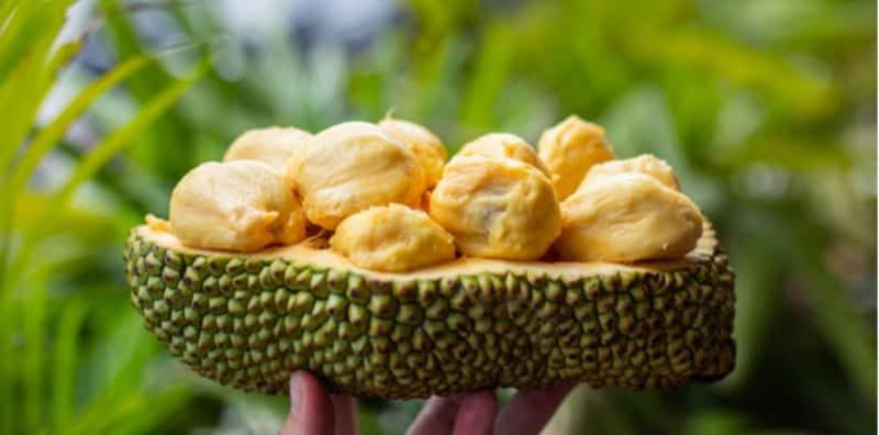 Ini 3 Resipi Cempedak Goreng Pasti Rangup Walaupun Sudah Sejuk! Boleh Cuba Buat Petang Nanti