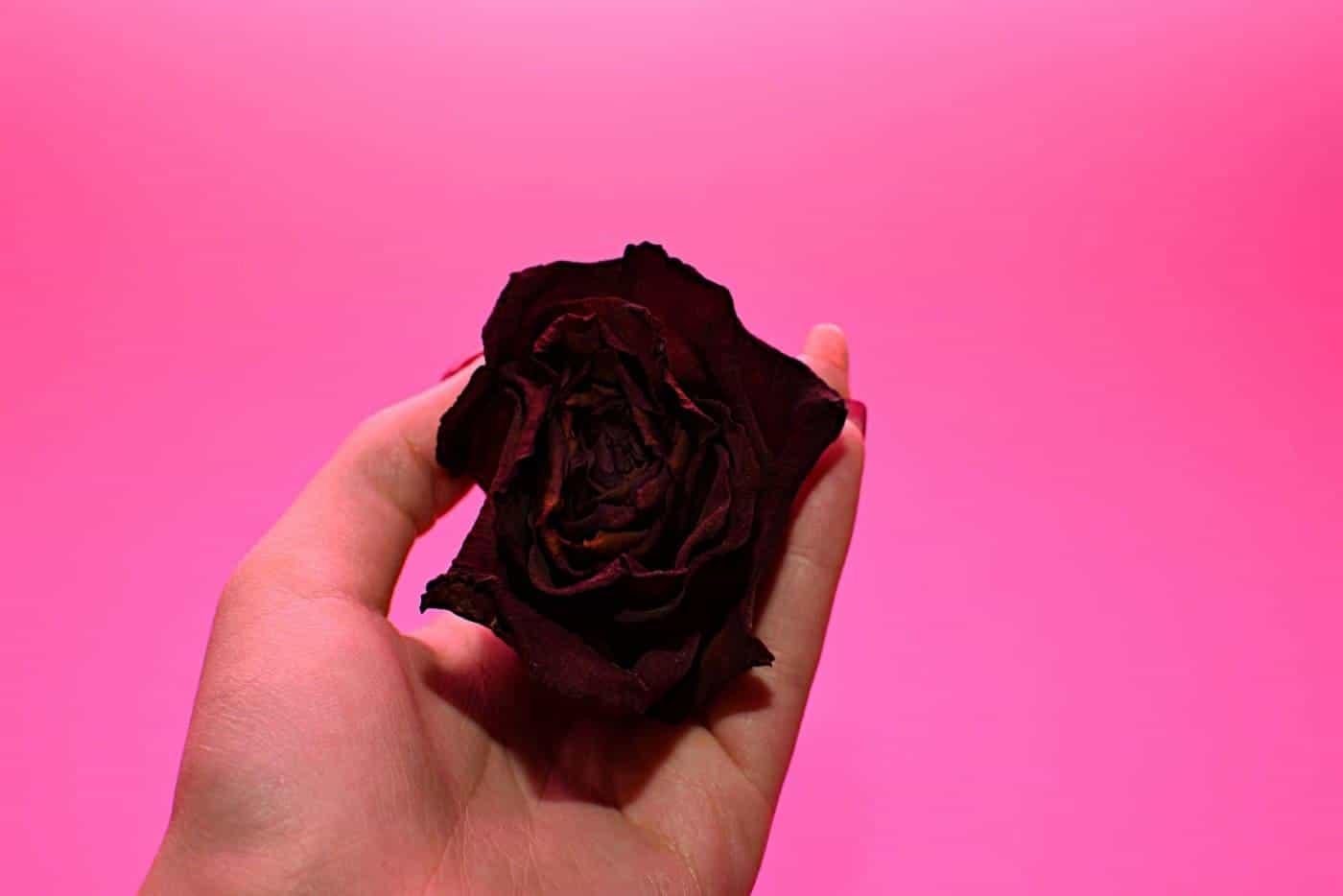 Jangan Malu — Ini Cara Selamat dan Berkesan Untuk Merawat Faraj Kering