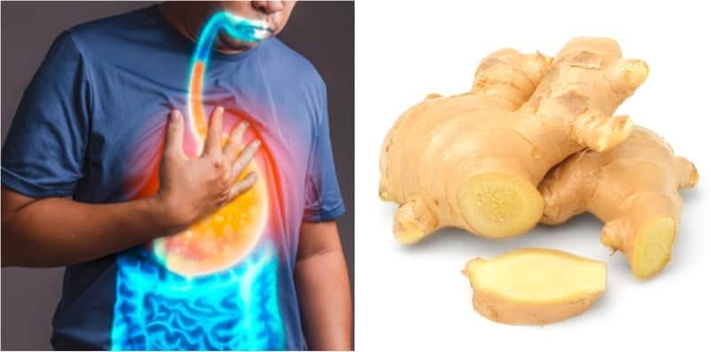 Ini 4 Herba Boleh Bantu Legakan Masalah GERD, Refluks Asid Anda Di Rumah!